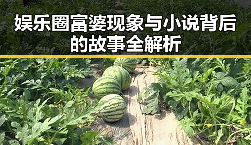 娱乐圈富婆现象与小说背后的故事全解析