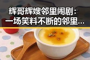 辉哥辉嫂邻里闹剧:一场笑料不断的邻里纷争揭秘