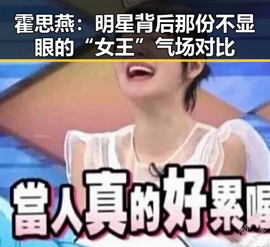 霍思燕:明星背后那份不显眼的“女王”气场对比