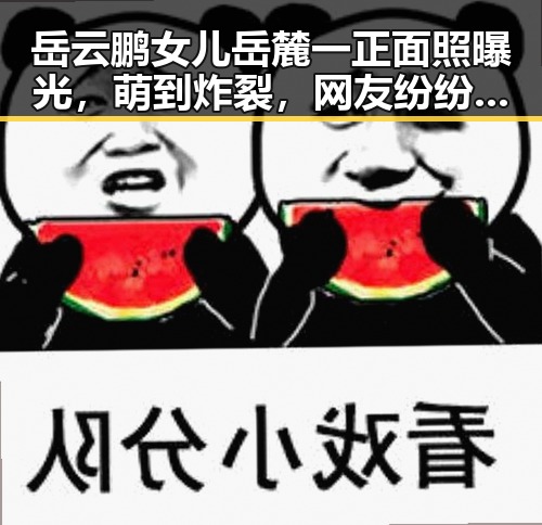 岳云鹏女儿岳麓一正面照曝光,萌到炸裂,网友纷纷点赞!
